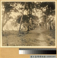 藏品(Biak島沿海Bosnik部落)的圖片